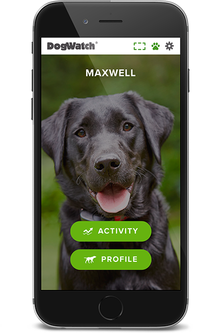 DogWatch of Central Oklahoma, Blanchard, Oklahoma | SmartFence WebApp Image