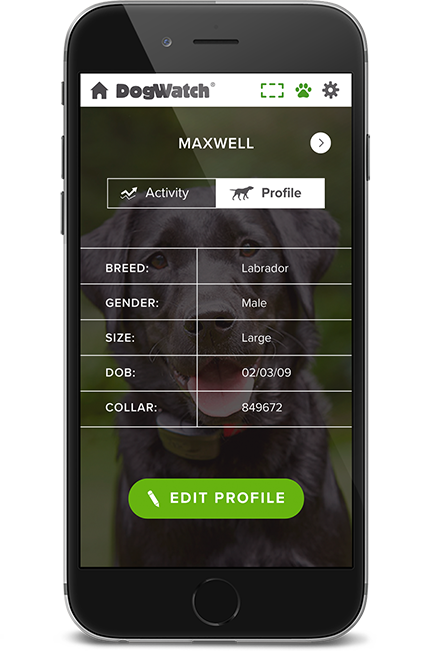 DogWatch of Central Oklahoma, Blanchard, Oklahoma | SmartFence WebApp Image